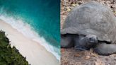 Mindful Travel: Protecting the Planet on Longer Trips in the Seychelles