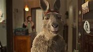 Nonton Film The Kangaroo Chronicles (2020) Sub Indo Online Terbaru ...