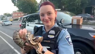 Minneapolis Rideshare Driver Discovers Snake Left Behind in Car