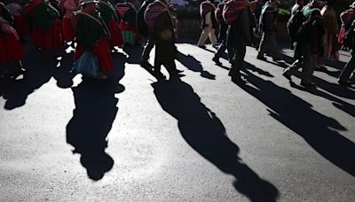 Bolivia lanza el Año Internacional de los Camélidos para impulsar la producción local