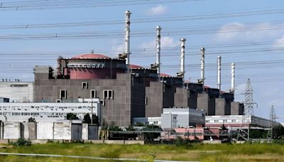Zaporizhzhia Power Plant on brink of blackout again: overhead power line down