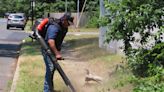 U.S. bans on gasoline-powered leaf blowers grow, as does blowback from landscaping industry