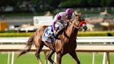 Slow Down Andy fast enough to get free pass to Breeders' Cup Classic