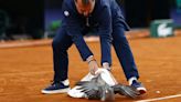 Umpire rescues pigeon during French Open match