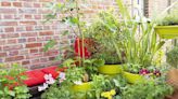 6 Container Gardening Mistakes You Should Always Avoid, Pros Say