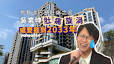 吳業坤「肚痛旋渦」或要捱到2033年