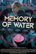 Memory of Water