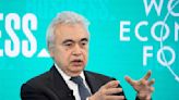 IEA head Birol sees nuclear power making 'strong comeback'