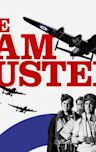 The Dam Busters (film)