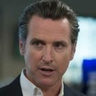 Gavin Newsom