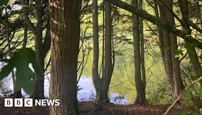 Search for teenager missing in lake in Cherry Hinton