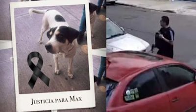 Caso de Maltrato Animal por Militar en Ciudad de México