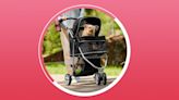 6 Pet Strollers to Carry Your Pet Around Like the Fancy Animals They Are