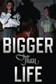 Bigger Than Life