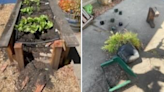 Oakland school's garden created by Curry foundation vandalized