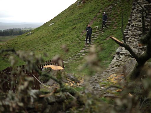 Dos acusados de talar el sicomoro conocido como el "árbol de Robin Hood" en Inglaterra