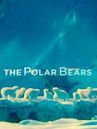 The Polar Bears