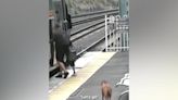 Lone dog patiently waits behind yellow safety line before boarding Queensland train