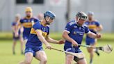 Carnew Emmets prove too good for St. Patrick’s in Wicklow SHC battle