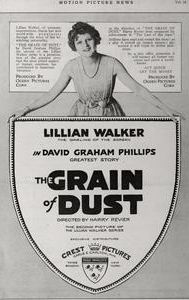 The Grain of Dust