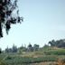 Mount of Beatitudes