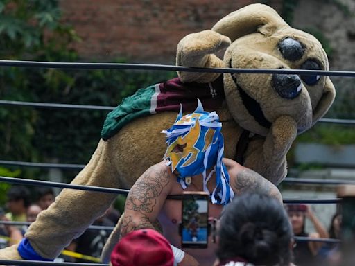 FOTOS Wisin, el “perrito luchador" mexicano que la está rompiendo en el ring y redes sociales | El Universal