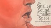 THE SMALLEST SOUND, IN THE SMALLEST SPACE Staged Reading Announced At Lincoln Center