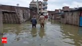Bihar wants Centre to announce flood control steps, infra projects | India News - Times of India