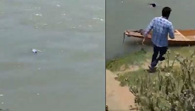 Watch: Brave Heroes Rescue 7-Year-Old From Drowning In Srinagar