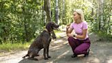 Worried about overfeeding your dog during training sessions? Trainer shares a simple solution