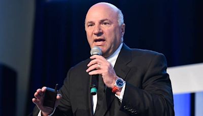 ‘I don’t care how in love you are’: Kevin O’Leary cautions couples they should ‘never’ marry their finances