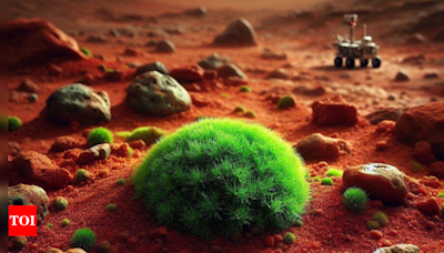 How this 'super moss' may help humans survive on Mars: Scientists reveal - Times of India