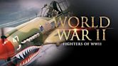 Fighters of WWII