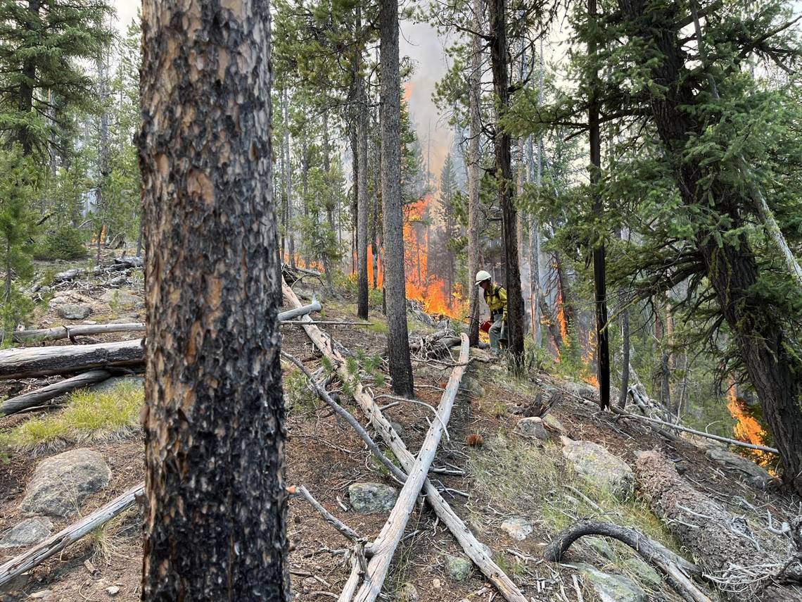 Idaho wildfire near Redfish Lake was human-caused, fire officials determine
