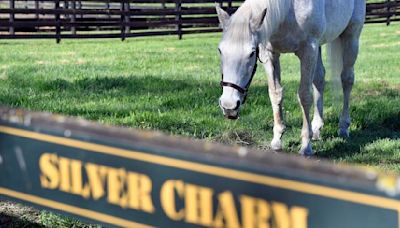 Silver Charm's golden years: For ex-Derby winner it's a life of leisure and Old Friends