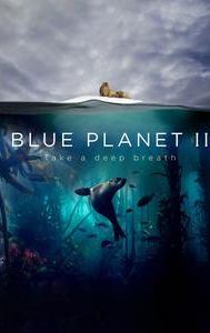 Blue Planet II