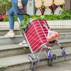 下殺 免運 精品 正品 促銷菜籃子手拉車買菜拖車爬樓滑輪三輪購物袋便捷大媽戶外帶輪子