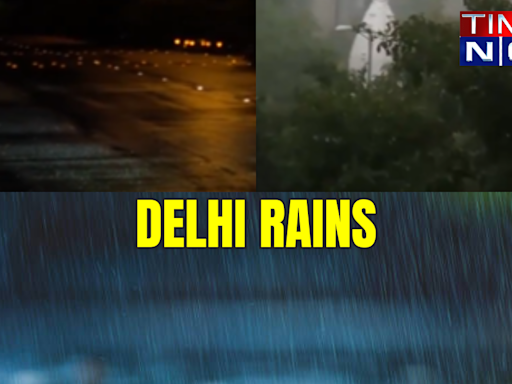 After Weeks Of Dark Cloud Cover, Early Morning Showers Refresh Parts Of Delhi-VISUALS