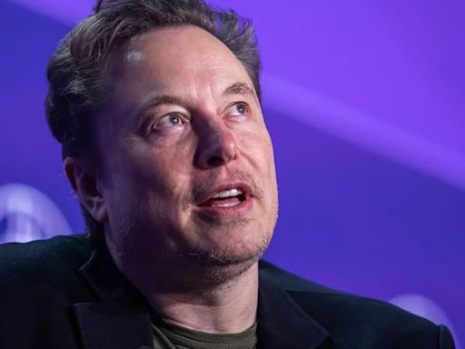 Musk no aclara si sigue apostando por modelo Tesla de bajo costo