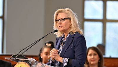 Liz Cheney Blasts McConnell Over Trump Meeting