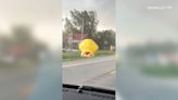 What the duck? Massive inflatable duck blows into traffic