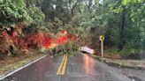 SEE: Buildings damaged, trees down as possible tornadoes move through Tallahassee