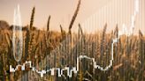 Can Investing in Wheat Help Me Hedge Against Inflation?