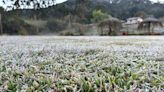 Onda de frio continua e Paraná registra temperatura negativa pelo 3º dia consecutivo; veja previsão para o estado