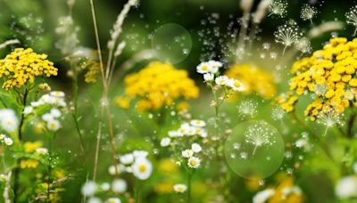 ‘An injection for hay fever transformed my summer’