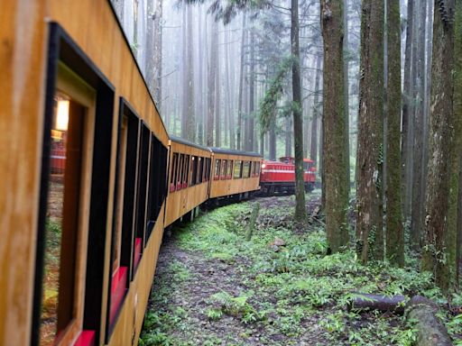 2024年7月首航！阿里山福森號Formosensis全新旅程「票價一覽」 輕鬆訂票指南 | 蕃新聞