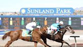 Track notes: Mine That Bird Derby on tap Sunday as prep race for Sunland Derby