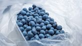 The Common Mistake That'll Ruin The Blueberries In Your Refrigerator