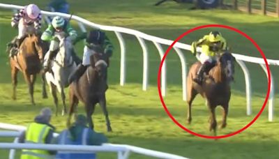 Jockey's 'worst nightmare' comes true in 'sickening' end to race for punters