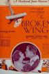 The Broken Wing (1923 film)